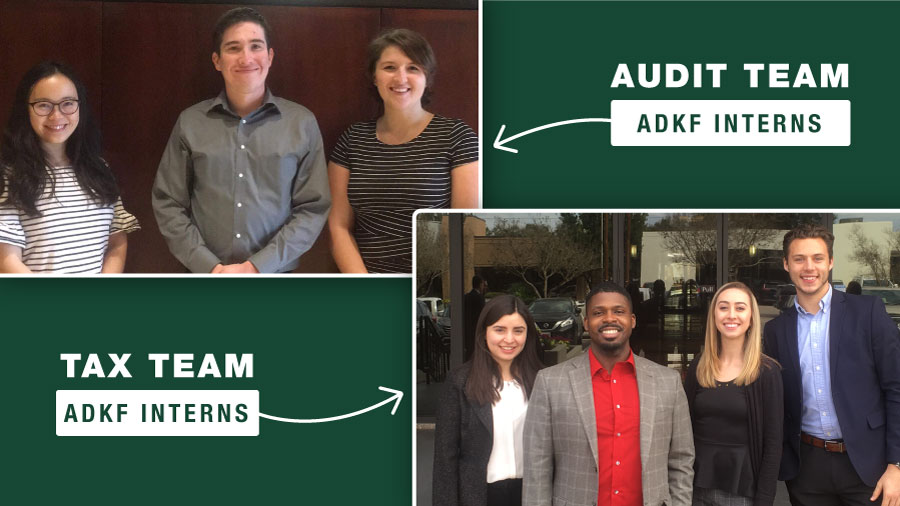 Interns in audit and tax teams