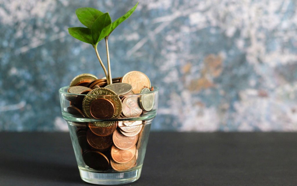 Coins in glass with plant growing