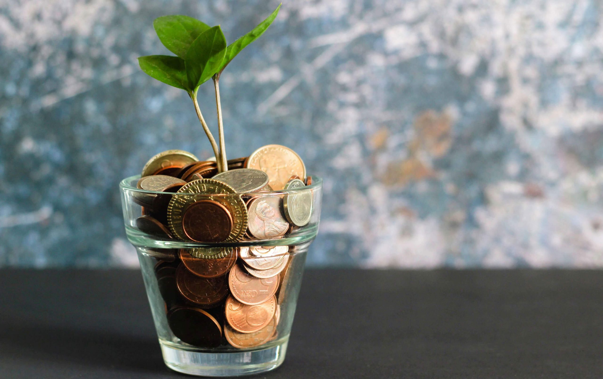 Coins in glass with plant growing